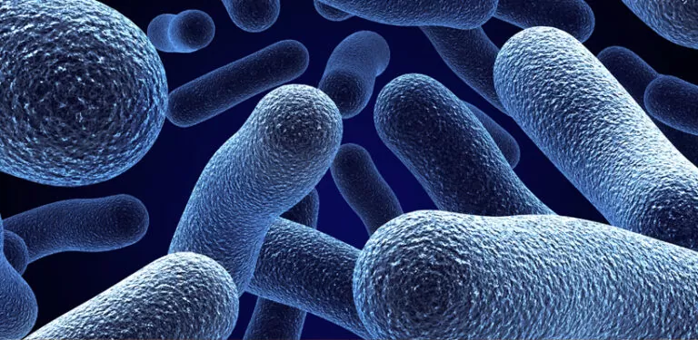 HELBO - Terapie Fotodinamică Antimicrobiană