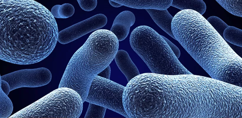 HELBO - Terapie Fotodinamică Antimicrobiană